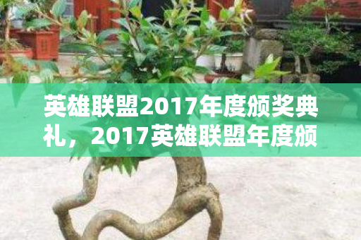 英雄联盟2017年度颁奖典礼图片