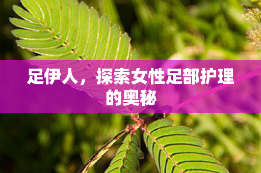 探索女性足部护理的奥秘图片