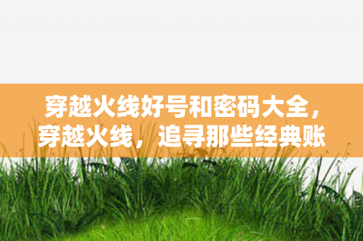 穿越火线好号和密码大全图片