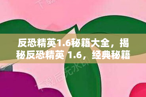反恐精英1.6秘籍大全，揭秘反恐精英 1.6，经典秘籍与隐藏要素