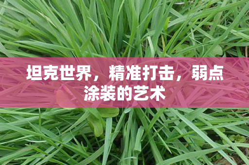 坦克世界，精准打击，弱点涂装的艺术