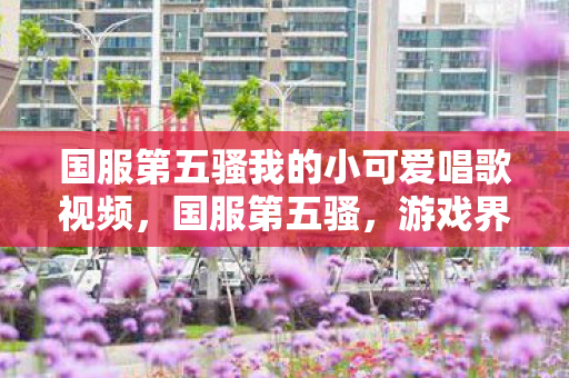 国服第五骚我的小可爱唱歌视频，国服第五骚，游戏界的奇葩现象