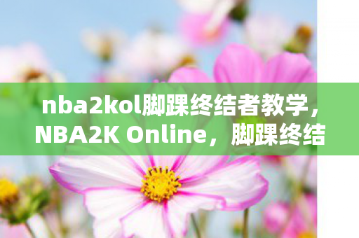 nba2kol脚踝终结者教学图片