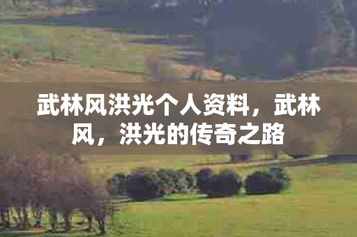 武林风洪光个人资料图片