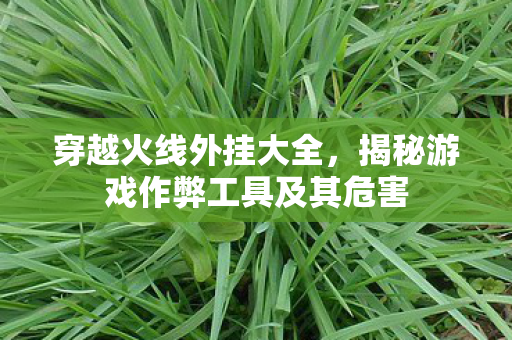 揭秘游戏作弊工具及其危害图片