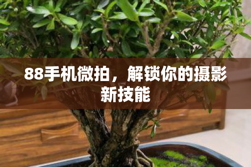 解锁你的摄影新技能图片