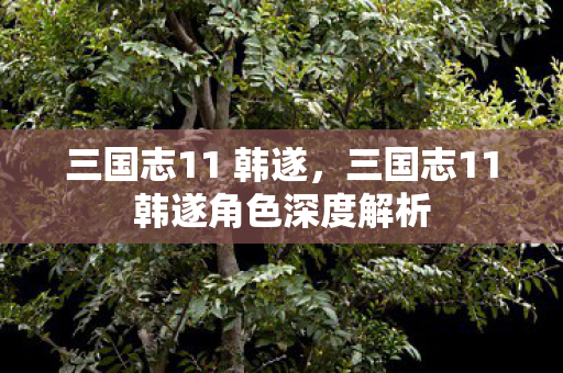 三国志11韩遂角色深度解析图片