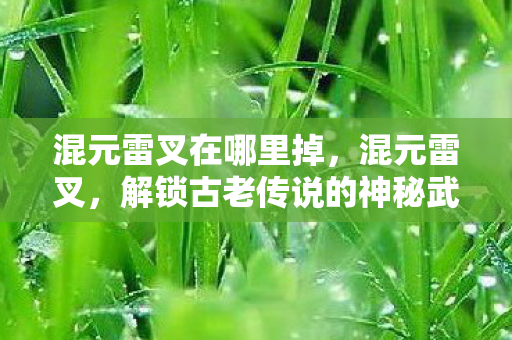 混元雷叉在哪里掉，混元雷叉，解锁古老传说的神秘武器