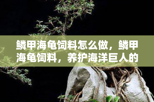 养护海洋巨人的秘密武器图片