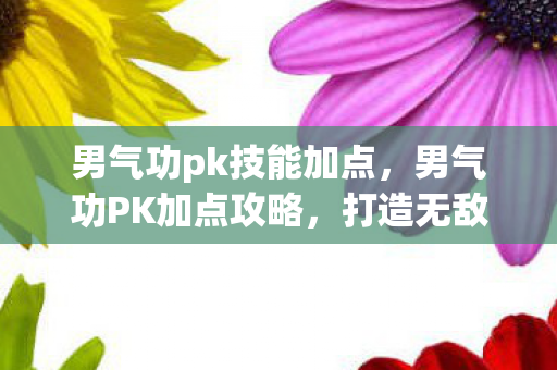 男气功pk技能加点图片