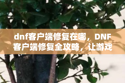 DNF客户端修复全攻略图片
