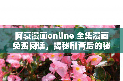 阿衰漫画online 全集漫画免费阅读图片