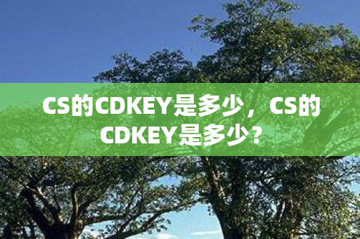 CS的CDKEY是多少，CS的CDKEY是多少？