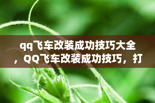 qq飞车改装成功技巧大全图片