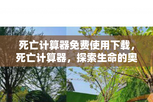 死亡计算器免费使用下载图片