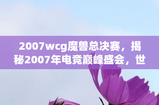 2007wcg魔兽总决赛，揭秘2007年电竞巅峰盛会，世界电子竞技大赛（WCG）的荣耀与传奇