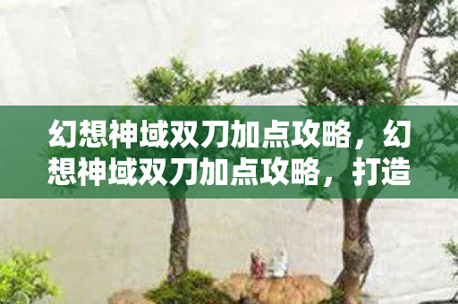 幻想神域双刀加点攻略图片