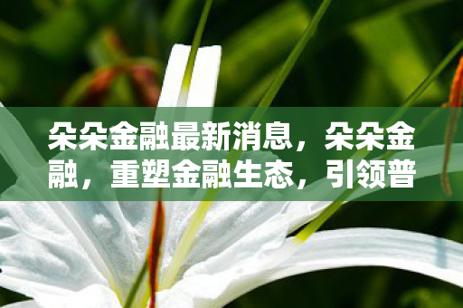 引领普惠金融新风尚图片
