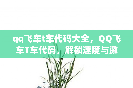 qq飞车t车代码大全图片