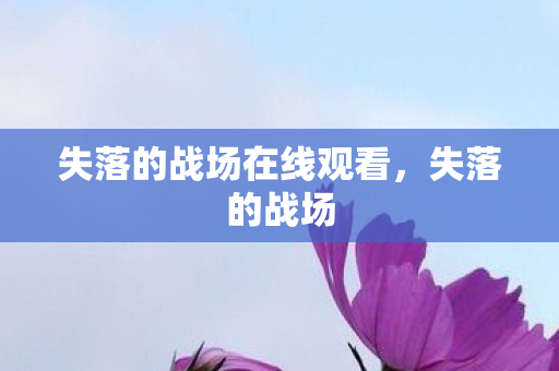 失落的战场在线观看图片