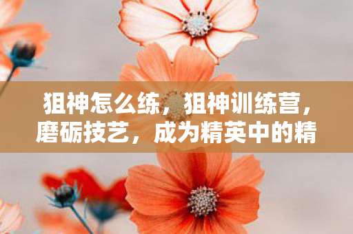 狙神怎么练，狙神训练营，磨砺技艺，成为精英中的精英
