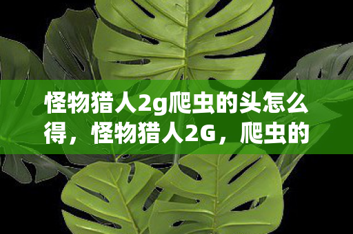 怪物猎人2g爬虫的头怎么得图片