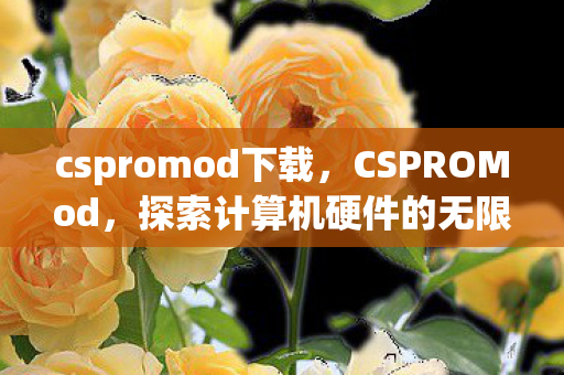 cspromod下载，CSPROMod，探索计算机硬件的无限可能