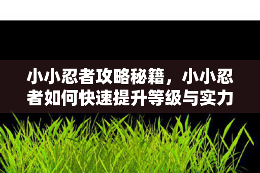 小小忍者如何快速提升等级与实力图片