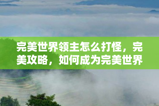 如何成为完美世界中的领主图片