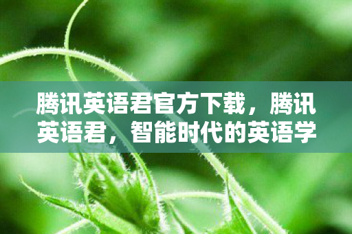 智能时代的英语学习新选择图片