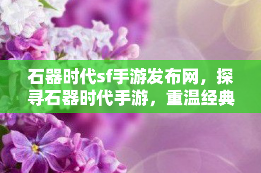 石器时代sf手游发布网图片