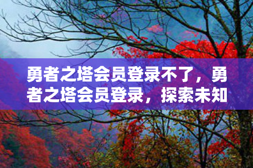 勇者之塔会员登录不了图片