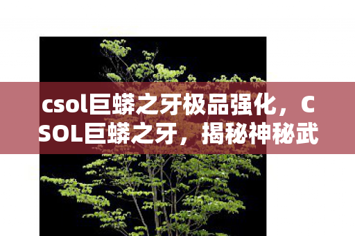 csol巨蟒之牙极品强化，CSOL巨蟒之牙，揭秘神秘武器的背后故事