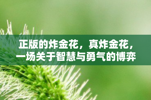 一场关于智慧与勇气的博弈图片