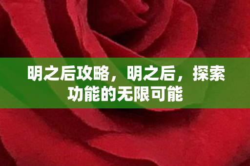 探索功能的无限可能图片