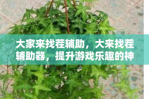 提升游戏乐趣的神奇工具图片