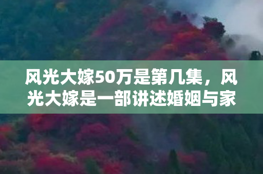 这一集不仅展现了主角们在面对婚姻中的种种挑战时如何坚持自己的原则图片