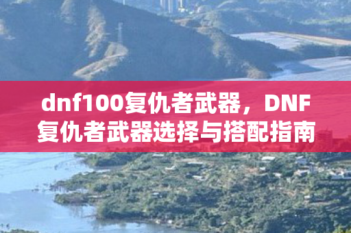 DNF复仇者武器选择与搭配指南图片