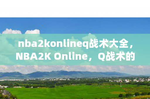 nba2konlineq战术大全图片