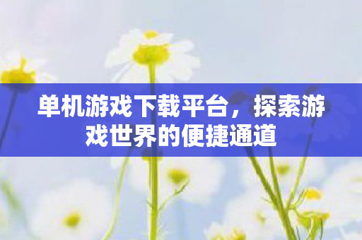 单机游戏下载平台，探索游戏世界的便捷通道