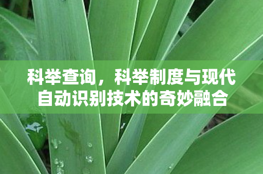 科举查询，科举制度与现代自动识别技术的奇妙融合