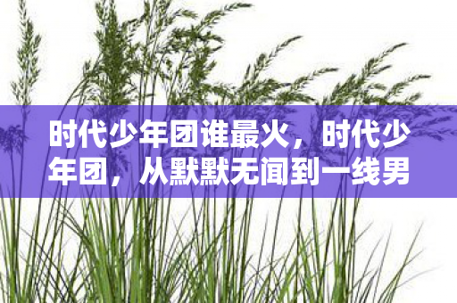 从默默无闻到一线男团的华丽蜕变图片