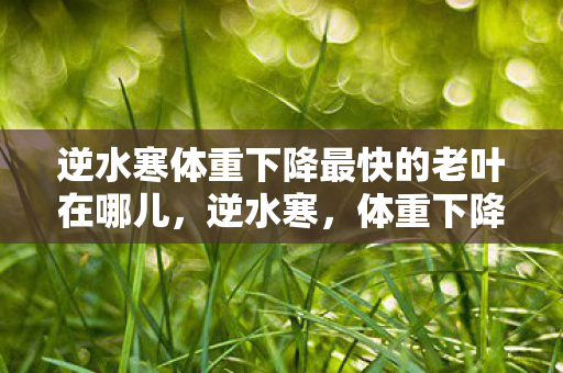 逆水寒体重下降最快的老叶在哪儿，逆水寒，体重下降最快的老叶