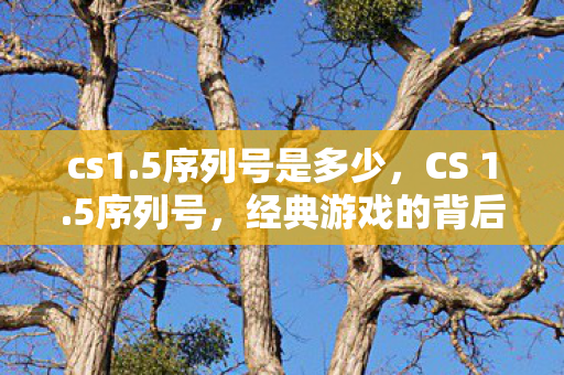 cs1.5序列号是多少，CS 1.5序列号，经典游戏的背后故事与探索