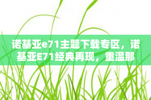 诺基亚e71主题下载专区图片