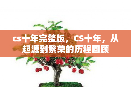 cs十年完整版，CS十年，从起源到繁荣的历程回顾