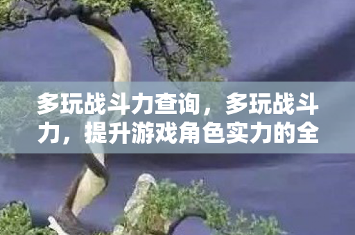 提升游戏角色实力的全面指南图片