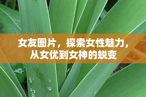 从女优到女神的蜕变图片