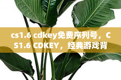 cs1.6 cdkey免费序列号，CS1.6 CDKEY，经典游戏背后的故事与探索