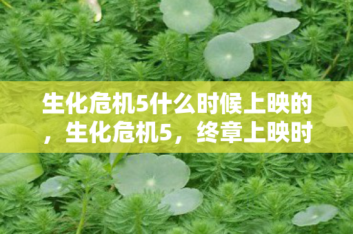 生化危机5什么时候上映的图片